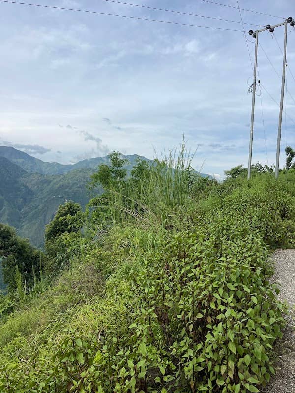 लसर्घा भिउ पोईन्ट - Image 1