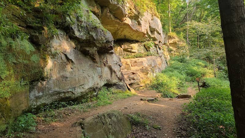 Lower Picnic Area - Image 2