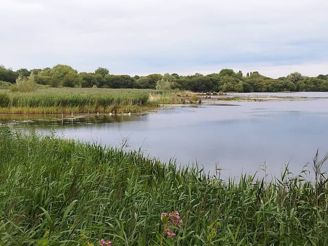 Kingfisher Hide view point - Image 1
