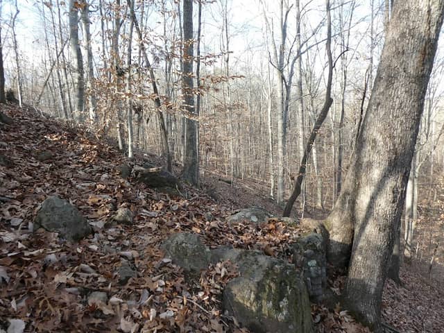 Chatham Heights Park - Image 1
