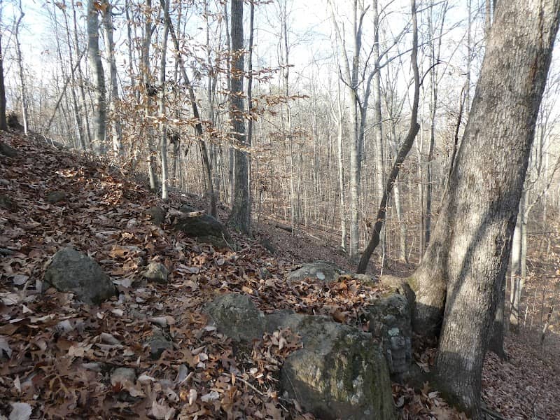 Chatham Heights Park - Image 1
