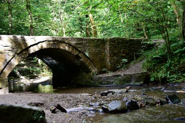 Wepre Park - Image 2