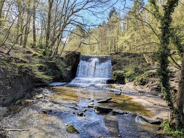 Wepre Park - Image 1