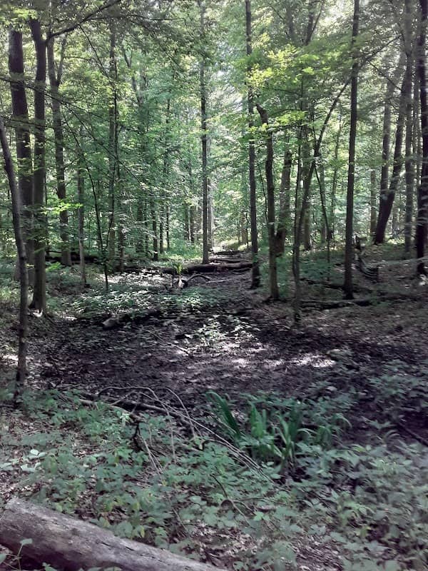 St. Anne Woods and Wetlands - Image 2