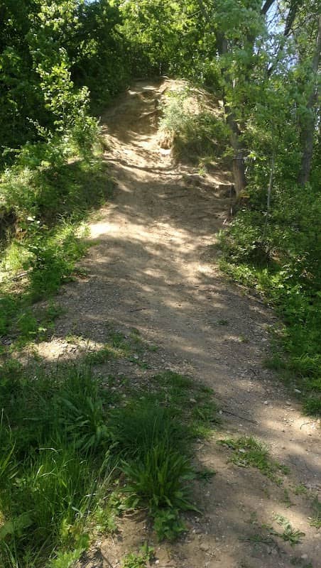 Downhill - Image 1