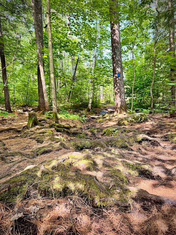 Recollet Falls - Image 2