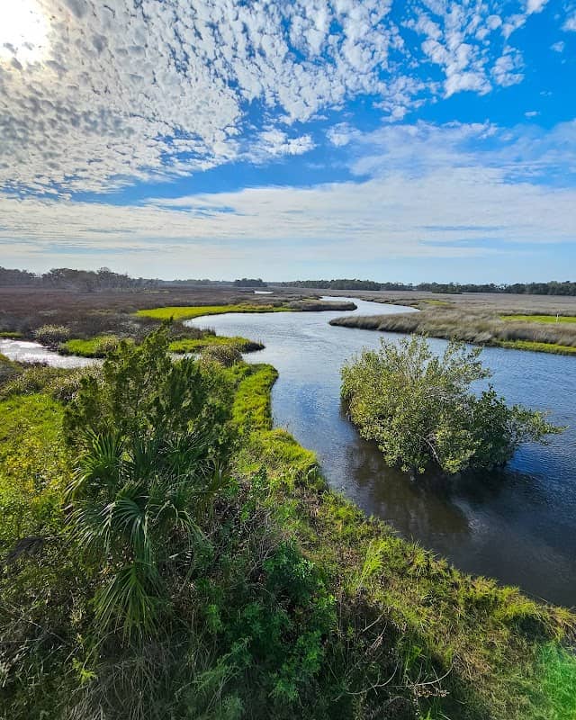 Crystal River National Wildlife Refuge & Visitor Center - Image 3
