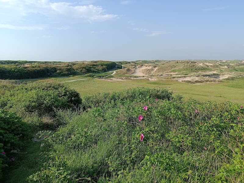De Puinhoop - Image 1