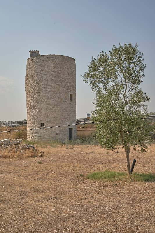 Torre Longa - Image 1