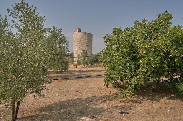Torre Longa - Image 3