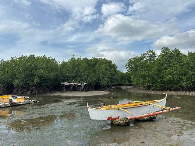 SELIM MANGROVES - Image 1