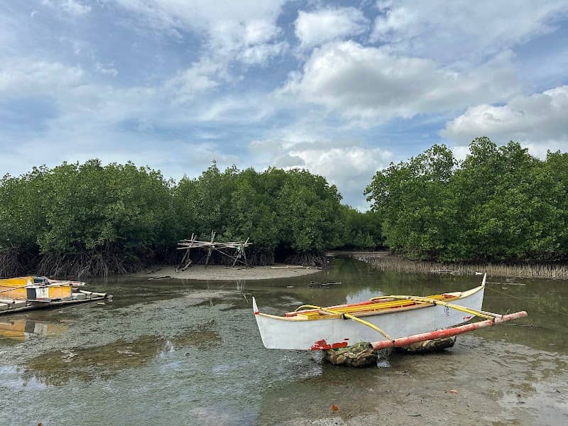 SELIM MANGROVES - Image 1