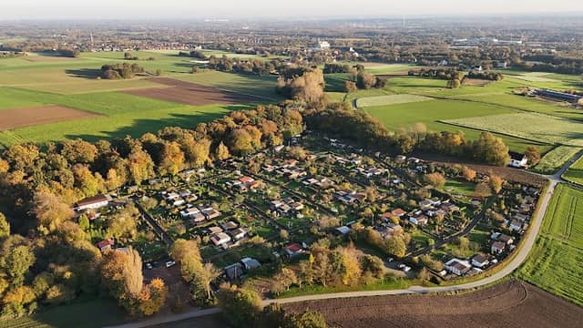 Wäldchen Totholzparadis - Image 3