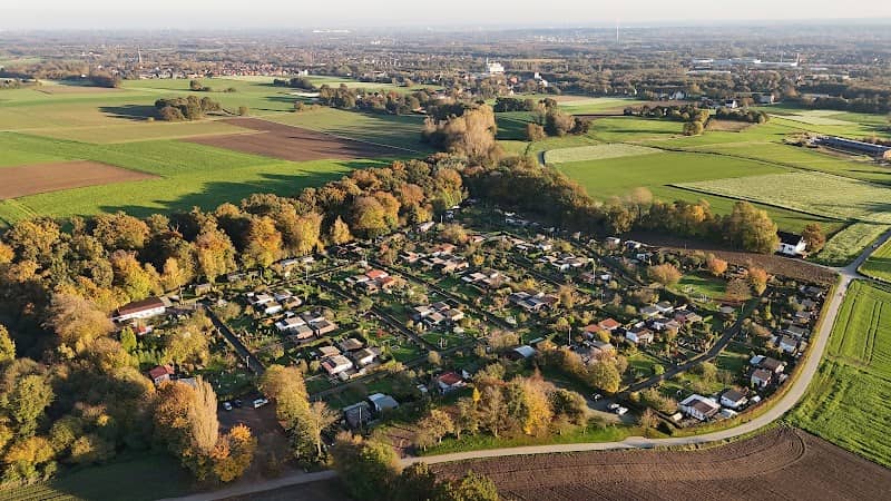 Wäldchen Totholzparadis - Image 3