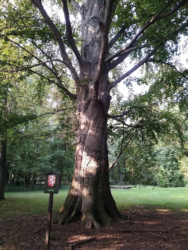 Zámecký park Medlešice - Image 1