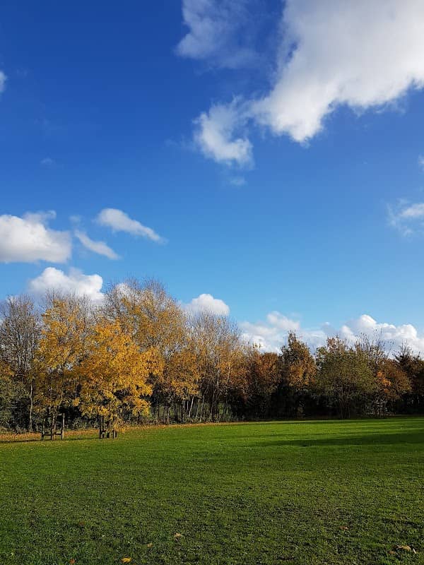 Fleetway Open Space - Image 1