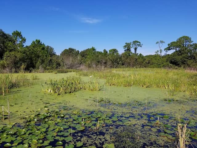 Eagle Lake Park - Image 2