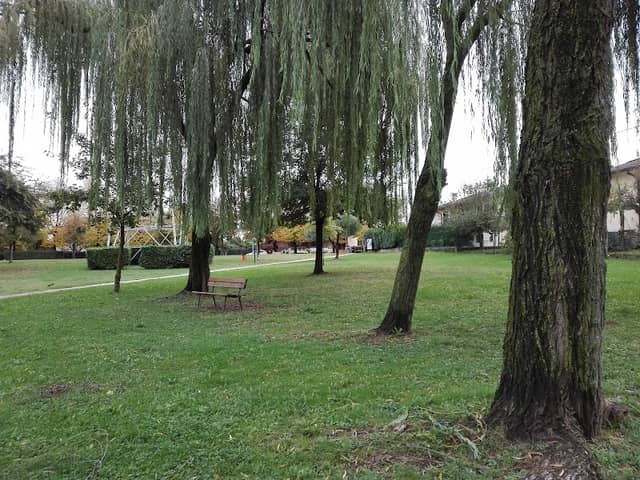 Parco comunale - Image 1