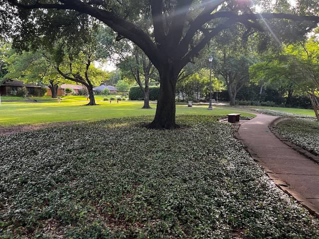 Mallon Park - Image 2