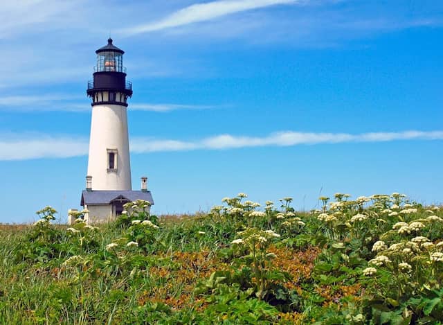 Yaquina Head Outstanding Natural Area - Image 2