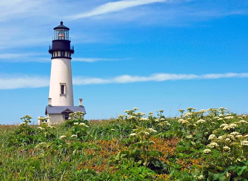 Yaquina Head Outstanding Natural Area - Image 2