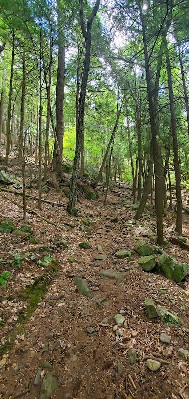 Clay Meadow Trailhead - Image 2