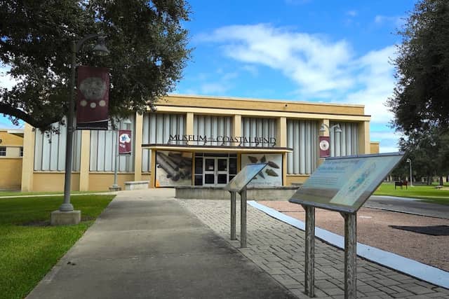 Museum of the Coastal Bend - Image 1