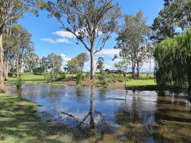 Lions Park - Image 1