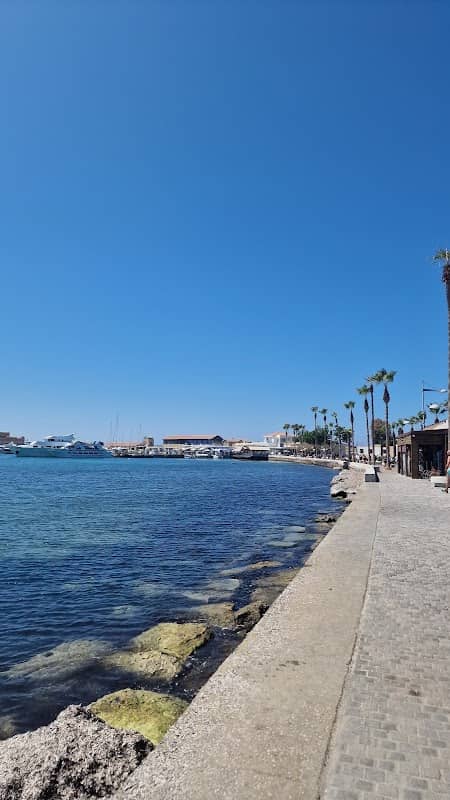 Paphos Promenade - Image 2