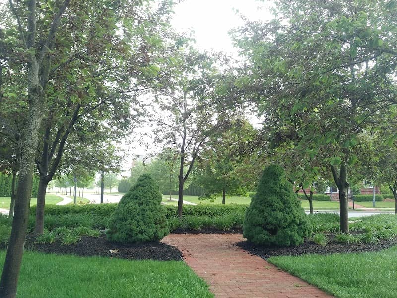 Chelsea Green Park - Image 2