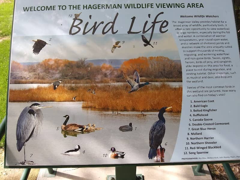 Hagerman Wildlife Management Area - Image 3