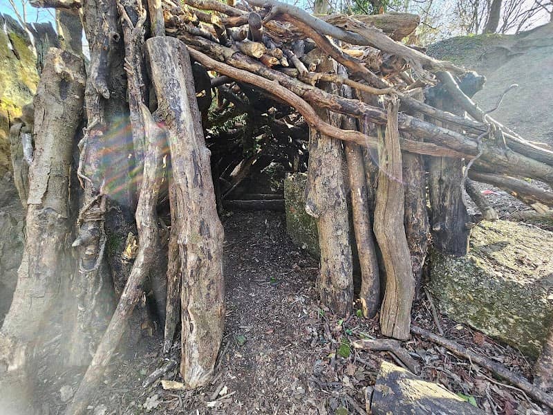 Mandubracius' Seat (Hollow Tree and Den) - Image 2