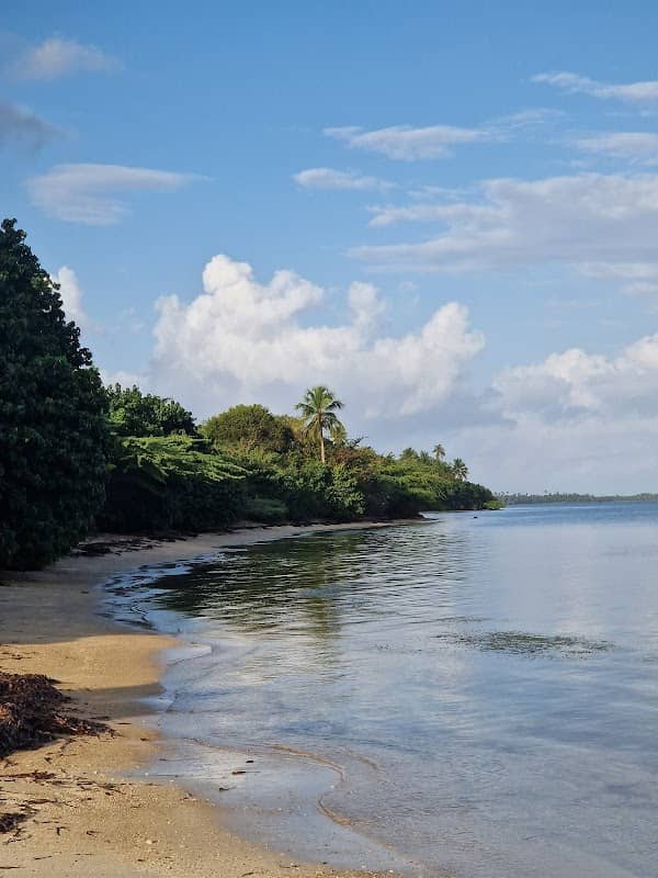 Joel’s Beach - Image 2