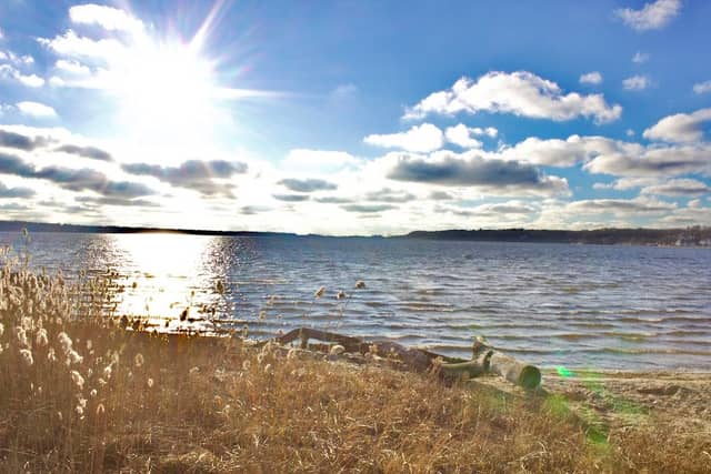Svensson Park - Image 1