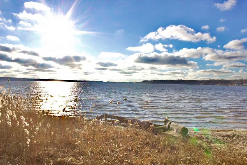 Svensson Park - Image 1