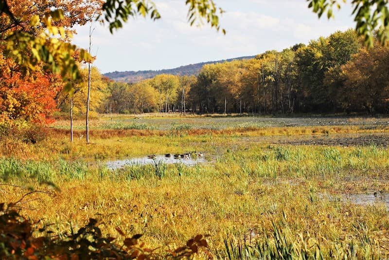 Brick Pond - Image 2