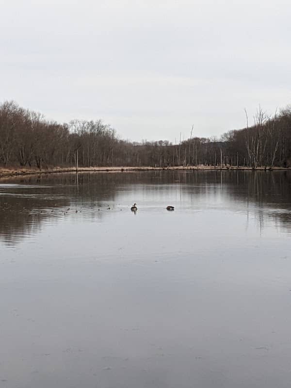 Brick Pond - Image 2
