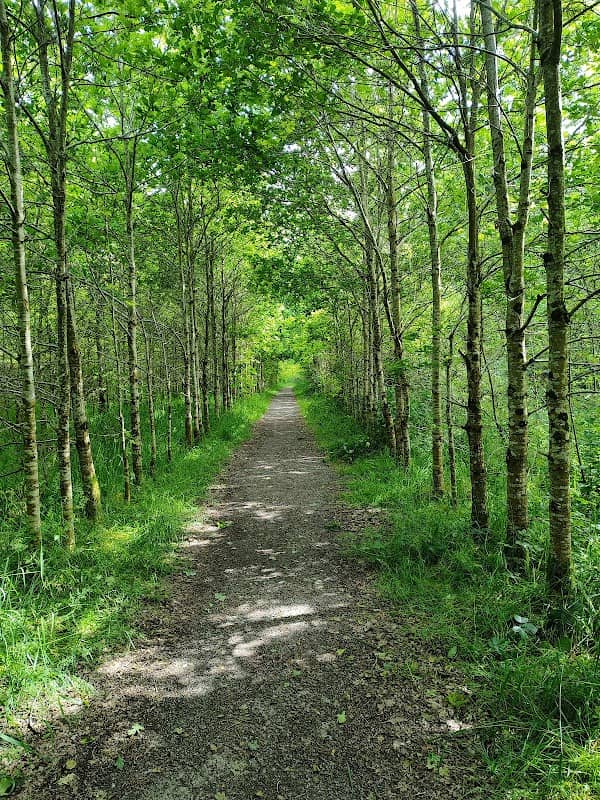 King's Walk - Image 1