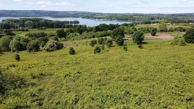 Knowle Hill - Image 1