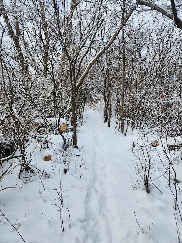 Trail open to Walmart now - Image 2