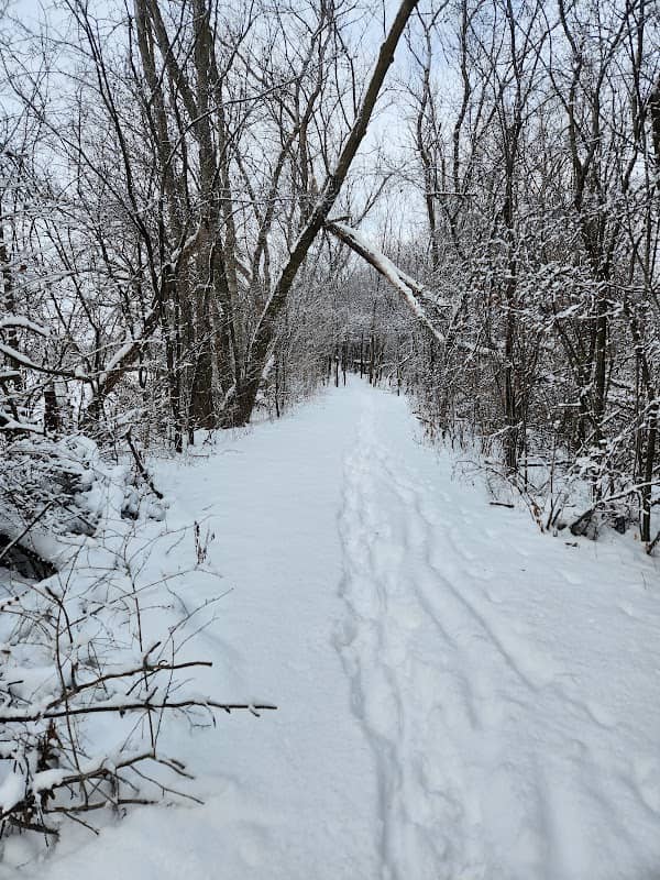 Trail open to Walmart now - Image 1