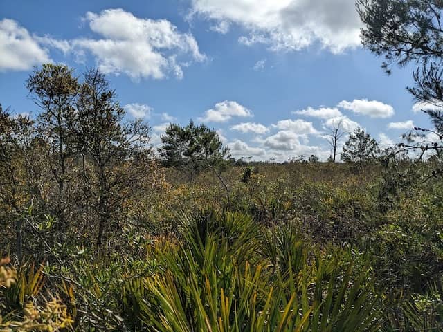 Archbold Biological Station - Image 3