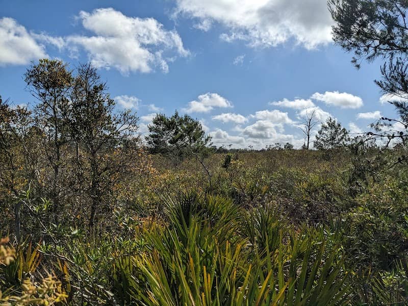 Archbold Biological Station - Image 3