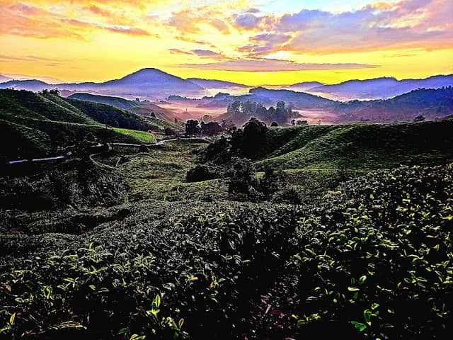 Iconic Cameron Sunrise Viewing Spot - Image 3