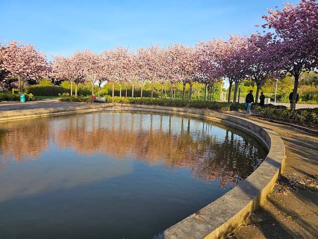 Cirkelpladsen i Tårnby City Park - Image 1