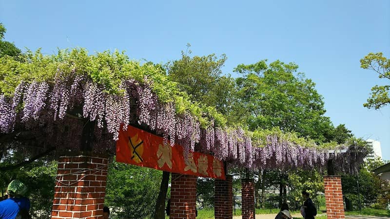 Asakayama Park - Image 2