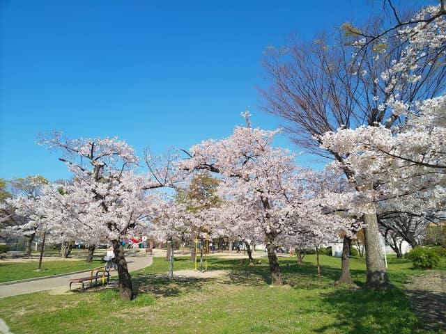 Asakayama Park - Image 3
