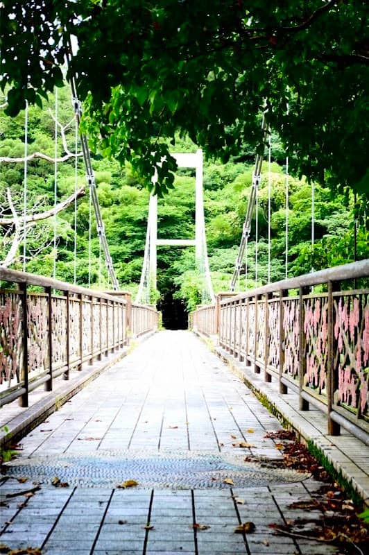 Sakura Bridge - Image 2