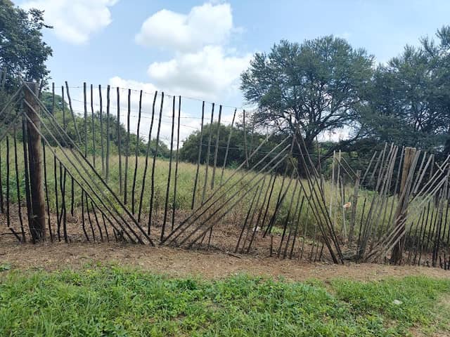 Meyerspark Bird Sanctuary - Image 2