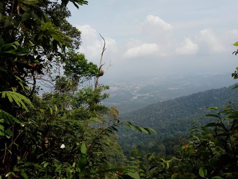 Waterfall view - Image 1